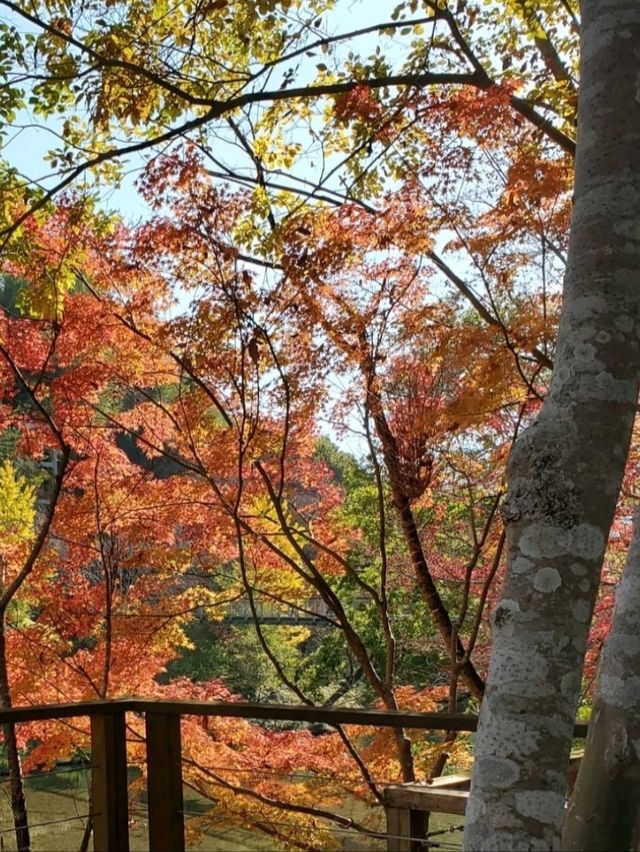 穴場のおすすめスポット