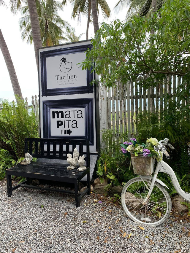 Matapita X The Hen 