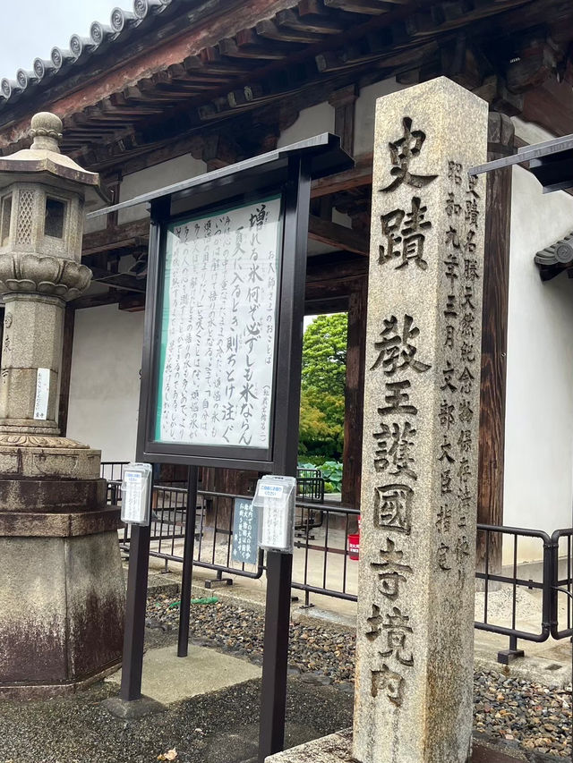 東寺：京都的最後一站，輕鬆悠閒的美好結尾！