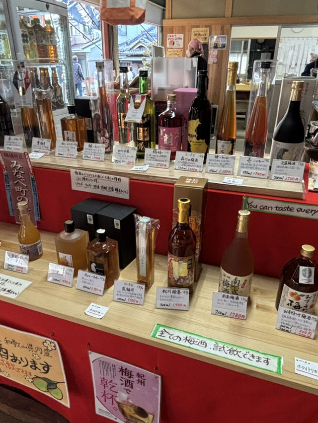 南部（みなべ）梅林へ今年初めての梅を見に❤️
