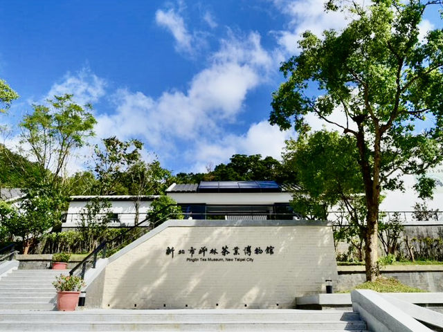 坪林一日輕鬆遊