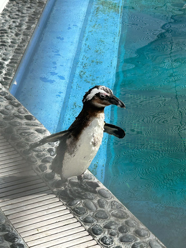 四國水族舘