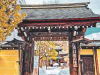 【岐阜】子宝安産祈願のパワースポット⛩️