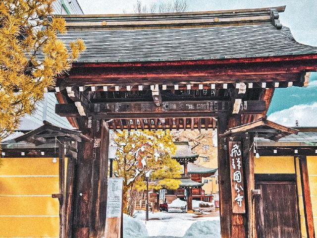 【岐阜】子宝安産祈願のパワースポット⛩️