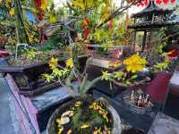 Jade Emperor Pagoda CHÙA NGỌC HOÀNG