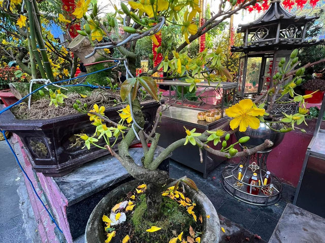 Jade Emperor Pagoda CHÙA NGỌC HOÀNG