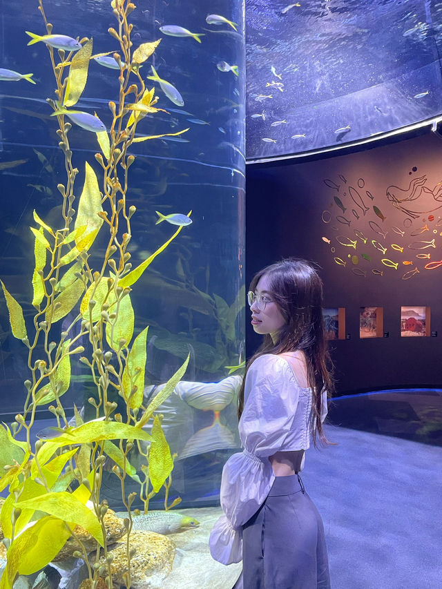 Underwater Adventure Lotte Aquarium