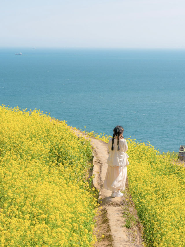 벚꽃 시즌 가야할 남해 여행코스 🌸💛 