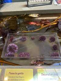Monterey Bay Aquarium