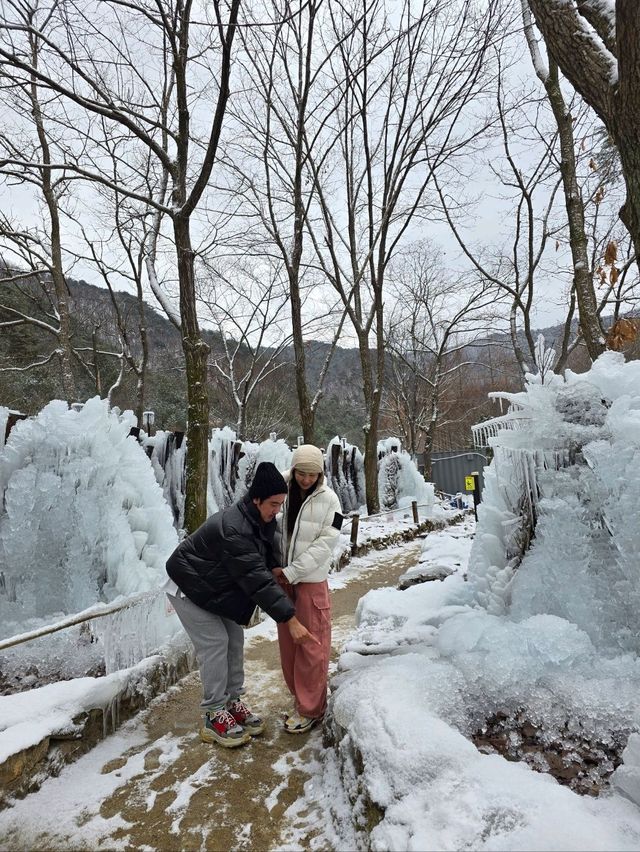 대전에 눈이 내리면 여기 가세요🤍
