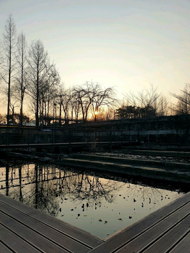 계절을 기억하는 방법, 서울 선유도공원