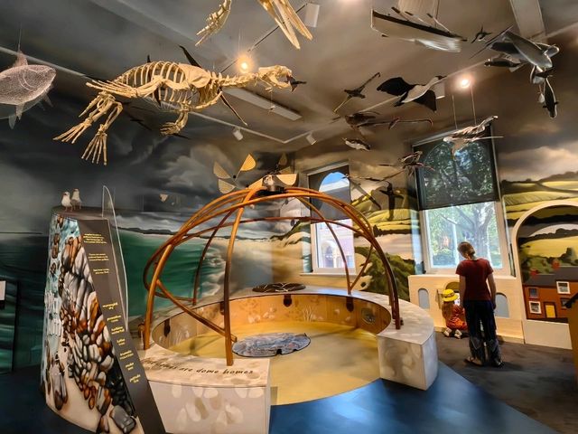 郵輪岸上遊～Tasmanian Art Gallery 