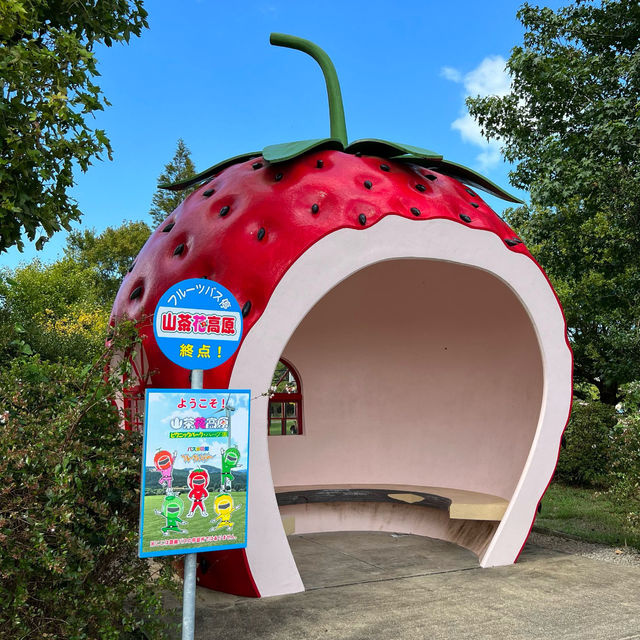 可愛すぎる！フルーツバス停クッキー🍎