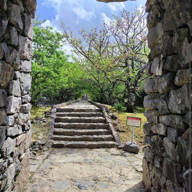 Nakijin Castle Ruins