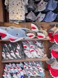 A Day in Universal Studios Japan