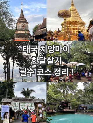 치앙마이 한달살기중 필수 코스 추천!