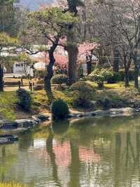 廣島｜泉水屋敷到縮景園 經過原爆悲劇後重現400年前庭園