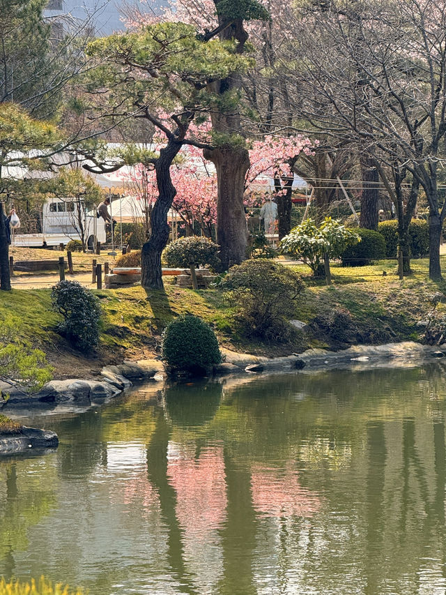 廣島｜泉水屋敷到縮景園 經過原爆悲劇後重現400年前庭園