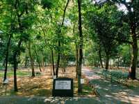 泰國曼谷市中心素坤逸區百年老體育場百年大學校區一日遊行程，體驗曼谷百年歷史底蘊，適合休閒打卡拍照📸