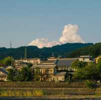 พาเที่ยว #Uji เมืองที่มัทฉะเลิฟเว่อร์ไม่ควรพลาด! 🍵