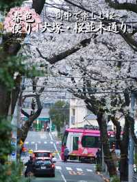 【東京】行かなきゃそんな‼️桜のトンネルを歩こう🚶‍♀️※周辺観光情報付き