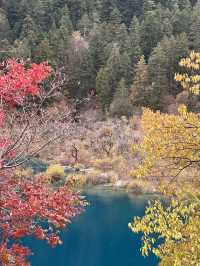 Enchanting Beauty of Jiuzhai Valley:where nature meets tranquility 