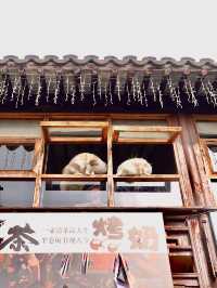 🏮 Pingjiang Road, Suzhou | ถนนเก่าฟีลจีนโบราณ 