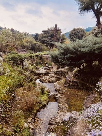 A Unique Garden Experience 🛶🌺 