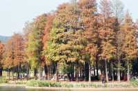 Urban Community at the Sihai Park in Shenzhen 