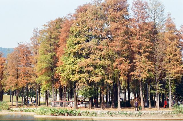 Urban Community at the Sihai Park in Shenzhen 