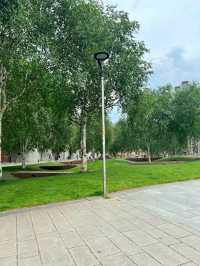 Cathedral Gardens