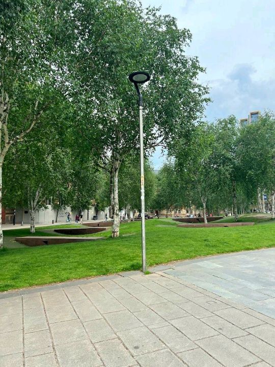 Cathedral Gardens