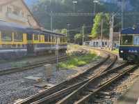 [🇨🇭スイス] インターラーケンから乗る山岳鉄道 — アルプスの絶景を堪能する旅