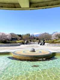 【宮城×春旅】 桜、チューリップ、雪山、青空のの絶景スポット