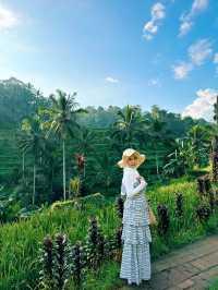 Truth about Tegallagang Rice Terrace 🌾🤫