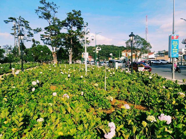 越南大叻著名花園公園景點：Flower garden，適合打卡拍照📸