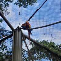 ボア・ジ・フリオ公園（ブラジル・リオデジャネイロ） – 静寂の中に広がる熱帯植物の楽園 