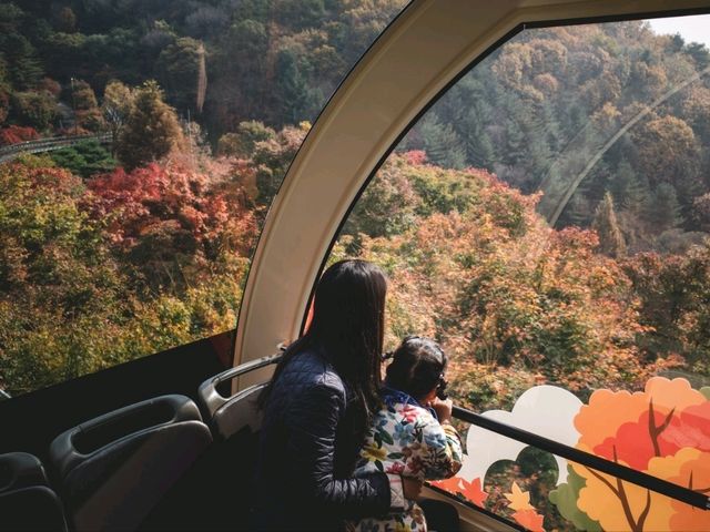 가을엔 꼭 가야하는 화담숲!!!