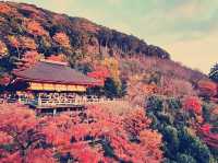 Discovering the Magic of Kiyomizu-dera ✨ | Kyoto’s Must-Visit Spot for Every Young Explorer