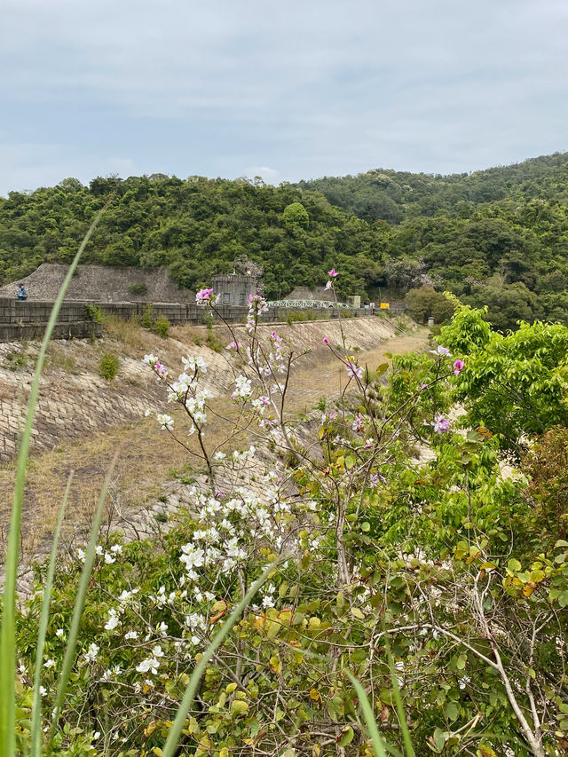城門水塘，BB級別的徒步路線