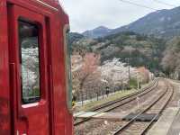 日本三好市-櫻花祭裡最美的車站「大步危車站」，體驗無人秘境