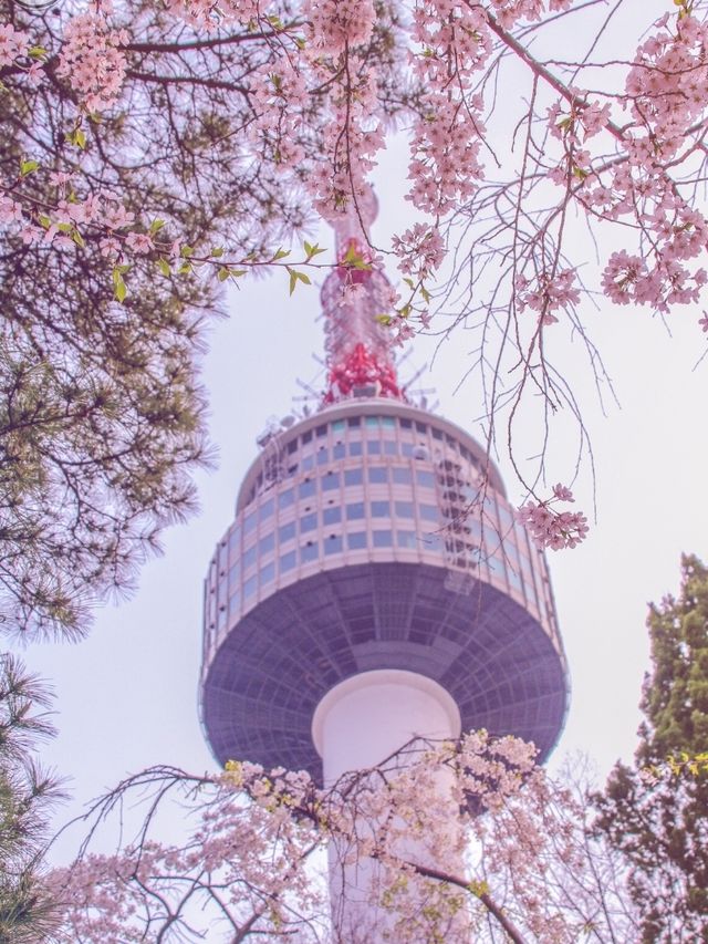 NAMSAN TOWER |  N. SEOUL TOWER  |  남산서울타워