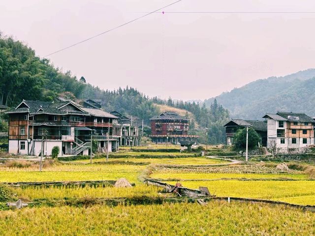 中国湖南著名景点：橫嶺古侗寨，适合打卡拍照📸