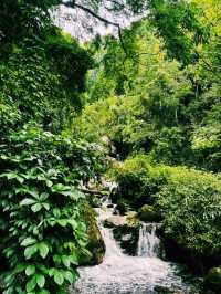 中國雲南騰衝著名景點高黎貢山自然保護區徒步旅行攻略，適合打卡拍照📸
