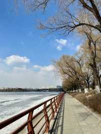 Spring Compass: Where the World Meets in Changchun