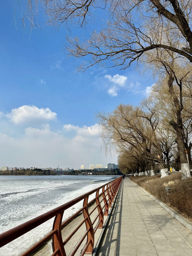 Spring Compass: Where the World Meets in Changchun