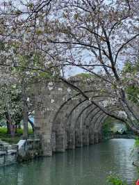 Guangfulin Cultural Relics Park – Shanghai's 4,000-Year-Old Archaeological Treasure