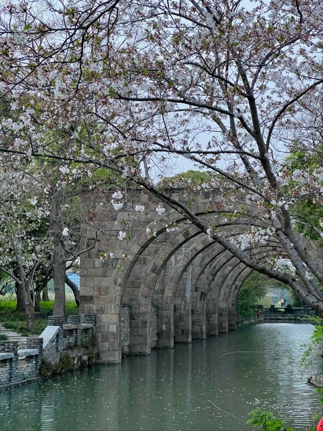 Guangfulin Cultural Relics Park – Shanghai's 4,000-Year-Old Archaeological Treasure