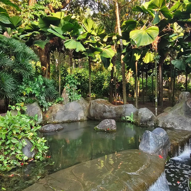 裕廊湖花園•熱帶奇花異卉