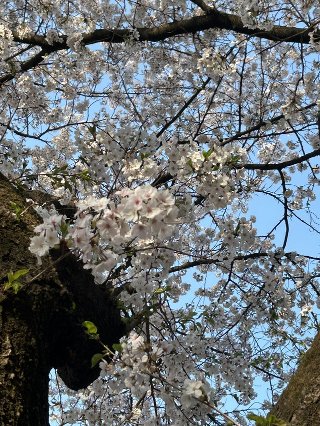 수암골 전망대에서 이어지는 힐링 산책길, 수암골 산책로 🌿